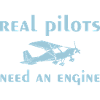 Pilot C42 powered aircraft ultralight