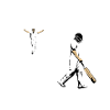 Cricket