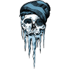 Snowboarder skull
