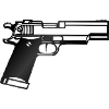 Gun