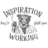 inspiration