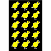 Funny chicks yellow birds