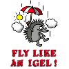 fly_like_an_igel_02_b
