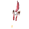 The cock (white)