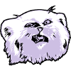 Pallaskatze Manul face