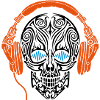Skull Headphones