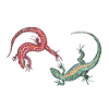 Lizards - geckos