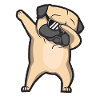 dabbing pug