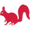 Rotes Eichhorn