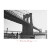 Brooklyn Bridge (Poster)