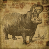Hippo Vintage