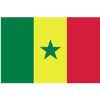 drapeau Sénégal - Senegal flag