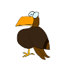 Little clumsy eagle
