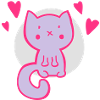 little kitty