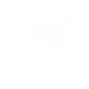 Duck duck platypus dyr vintage gave