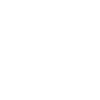 Patterned flower in white gift