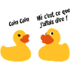 Duck