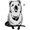 Quokka - sweet motive