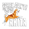 Akita-Pläne 2