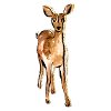 Cute Hand-drawn Deer
