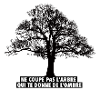 L' arbre