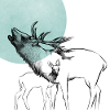 cerf