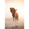 Giraffe mit einem Knoten im Hals