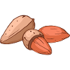 Almond tree almonds