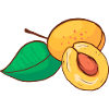 Mirabelle Yellow Plum