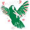 kakapo - fat parrot dance