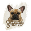 French Bulldog -Frenchie