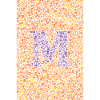 M-Sehtest-Poster