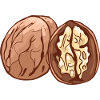 Real walnut nuts nut walnutwalnuts