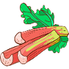 Common rhubarb Common Krauser
