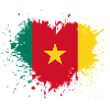 coeur drapeau cameroun