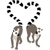 lemur love collection