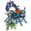 Spinne (Arachne)