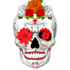 scull