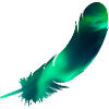 Coole Feder