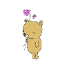 cute bear