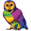 Rainbow owl