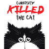 Curious cat