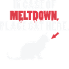 Funny cat