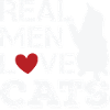 Funny cat