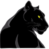 black panther