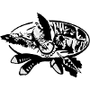 woodcock