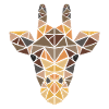Giraffe - Big 5 - Geometric - Gift