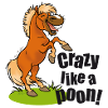 Poney crazy texte noir
