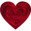 Heart in the heart