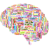 Brain Psychology